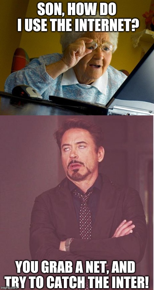 SON, HOW DO I USE THE INTERNET? YOU GRAB A NET, AND TRY TO CATCH THE INTER! | image tagged in memes,grandma finds the internet,face you make robert downey jr | made w/ Imgflip meme maker