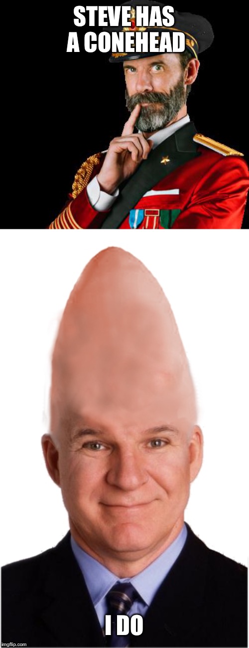 STEVE HAS A CONEHEAD; I DO | image tagged in captain obvious,steve conehead martin | made w/ Imgflip meme maker