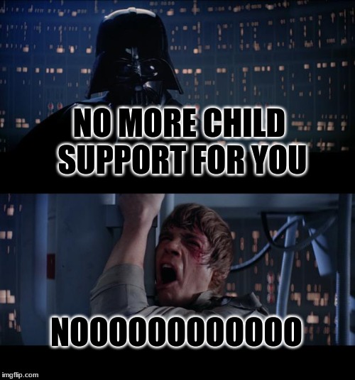 Star Wars No Meme | NO MORE CHILD SUPPORT FOR YOU; NOOOOOOOOOOOO | image tagged in memes,star wars no | made w/ Imgflip meme maker