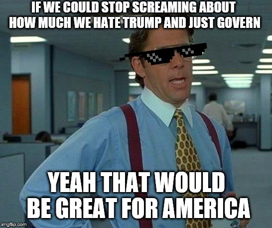 That Would Be Great | IF WE COULD STOP SCREAMING ABOUT HOW MUCH WE HATE TRUMP AND JUST GOVERN; YEAH THAT WOULD BE GREAT FOR AMERICA | image tagged in memes,that would be great | made w/ Imgflip meme maker