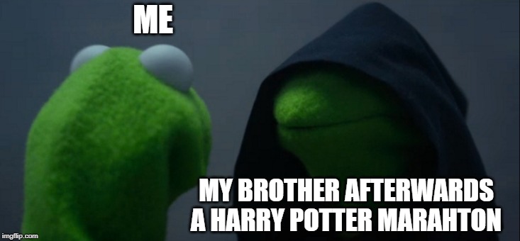Evil Kermit | ME; MY BROTHER AFTERWARDS A HARRY POTTER MARAHTON | image tagged in memes,evil kermit,harry potter | made w/ Imgflip meme maker