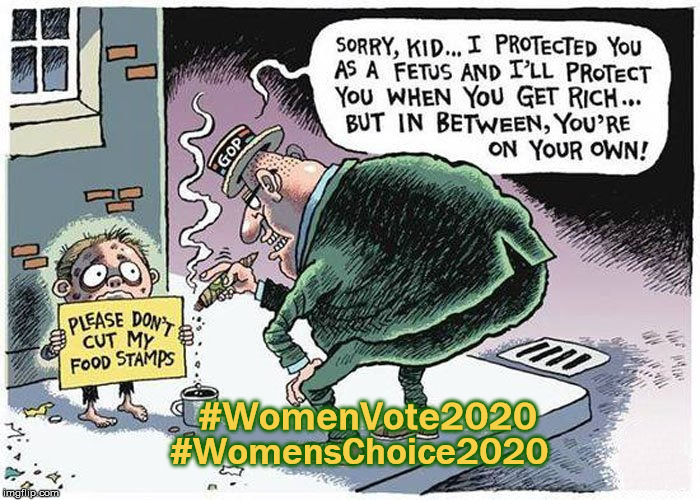 Women Vote 2020 | #WomenVote2020; #WomensChoice2020 | image tagged in woman vote 2020,womans choice 2020,roe v wade,republican,gop,vote democrat | made w/ Imgflip meme maker