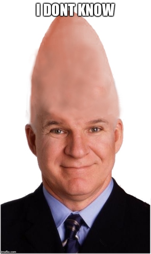 Steve Conehead Martin | I DONT KNOW | image tagged in steve conehead martin | made w/ Imgflip meme maker