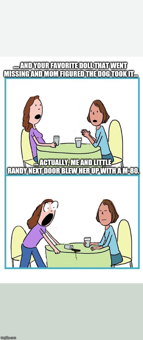TWO WOMEN CARTOON 2 PANEL SURPRISED BLANK | .... AND YOUR FAVORITE DOLL THAT WENT MISSING AND MOM FIGURED THE DOG TOOK IT... ... ACTUALLY, ME AND LITTLE RANDY NEXT DOOR BLEW HER UP WITH A M-80. | image tagged in two women cartoon 2 panel surprised blank | made w/ Imgflip meme maker