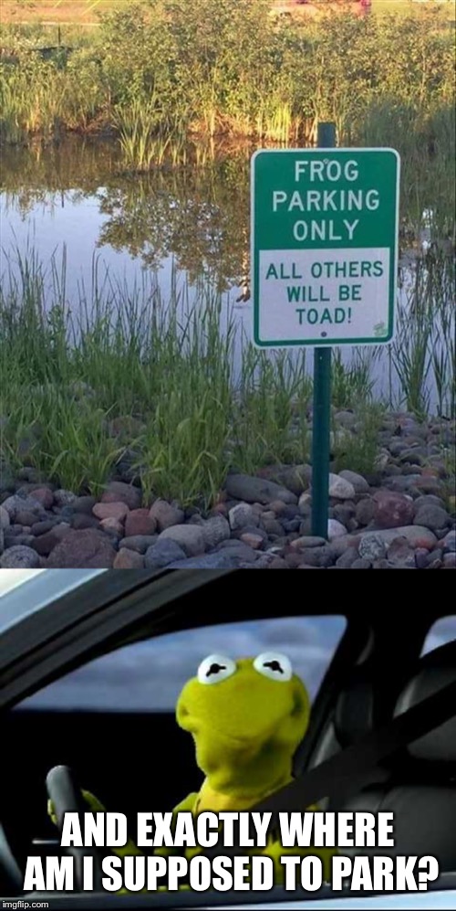 I think they forgot about one famous frog |  AND EXACTLY WHERE AM I SUPPOSED TO PARK? | image tagged in kermit drive,memes,bad parking | made w/ Imgflip meme maker