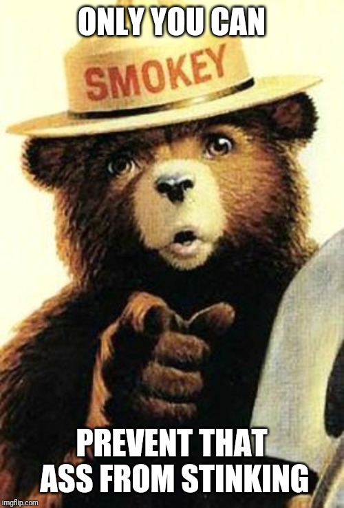 smokey the bear | ONLY YOU CAN; PREVENT THAT ASS FROM STINKING | image tagged in smokey the bear | made w/ Imgflip meme maker