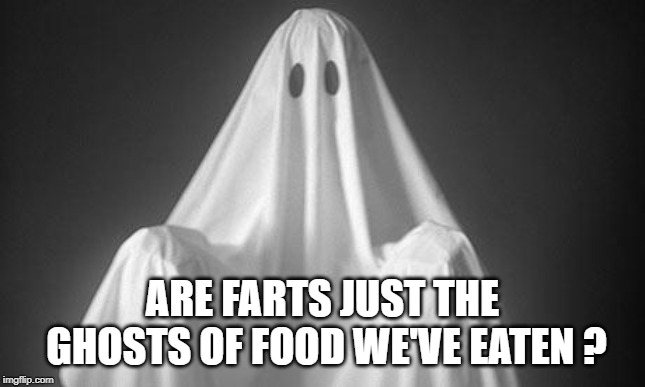 Ghost | ARE FARTS JUST THE GHOSTS OF FOOD WE'VE EATEN ? | image tagged in ghost | made w/ Imgflip meme maker