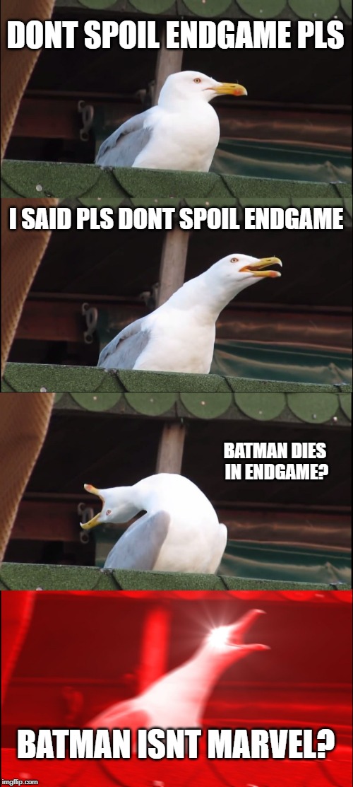 Inhaling Seagull Meme | DONT SPOIL ENDGAME PLS; I SAID PLS DONT SPOIL ENDGAME; BATMAN DIES IN ENDGAME? BATMAN ISNT MARVEL? | image tagged in memes,inhaling seagull | made w/ Imgflip meme maker