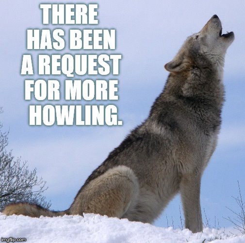 THERE HAS BEEN A REQUEST FOR MORE   HOWLING. | made w/ Imgflip meme maker