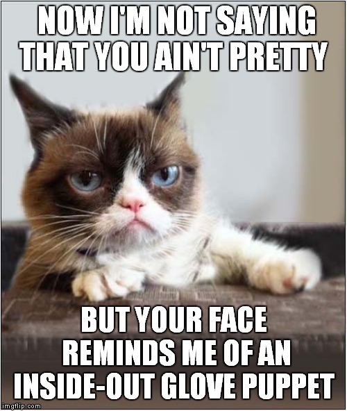 Grumpys Facial Comparison | NOW I'M NOT SAYING THAT YOU AIN'T PRETTY; BUT YOUR FACE REMINDS ME OF AN INSIDE-OUT GLOVE PUPPET | image tagged in cats,grumpy cat | made w/ Imgflip meme maker