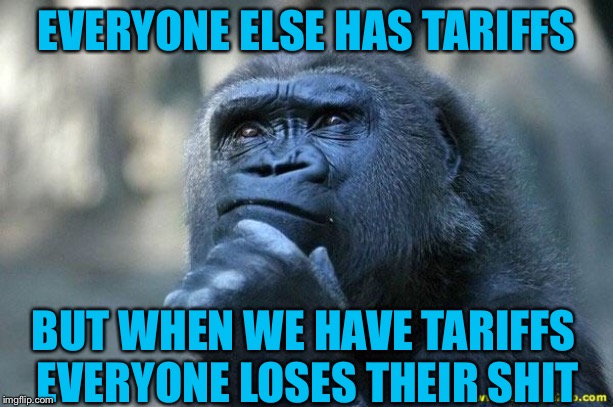 Deep Thoughts | EVERYONE ELSE HAS TARIFFS; BUT WHEN WE HAVE TARIFFS EVERYONE LOSES THEIR SHIT | image tagged in deep thoughts | made w/ Imgflip meme maker
