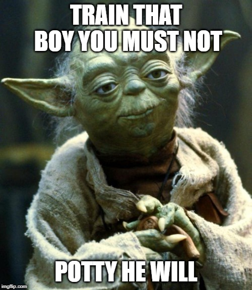 Yoda forbids | TRAIN THAT BOY YOU MUST NOT; POTTY HE WILL | image tagged in memes,star wars yoda,train,potty | made w/ Imgflip meme maker