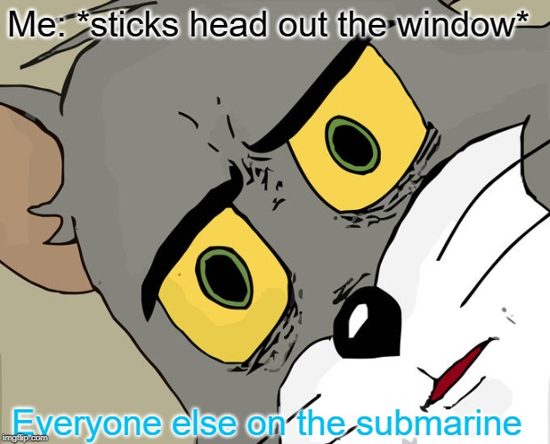 Unsettled Tom Meme | Me: *sticks head out the window*; Everyone else on the submarine | image tagged in memes,unsettled tom | made w/ Imgflip meme maker