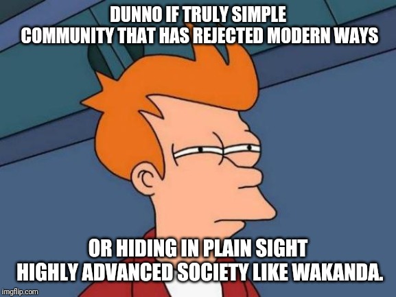 Futurama Fry Meme | DUNNO IF TRULY SIMPLE COMMUNITY THAT HAS REJECTED MODERN WAYS; OR HIDING IN PLAIN SIGHT HIGHLY ADVANCED SOCIETY LIKE WAKANDA. | image tagged in memes,futurama fry | made w/ Imgflip meme maker