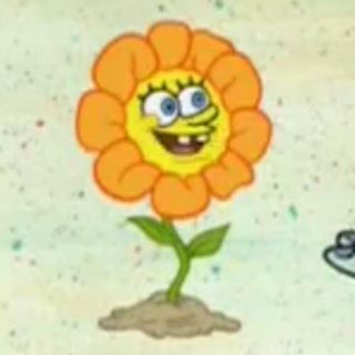 High Quality Flower Spongebob Blank Meme Template