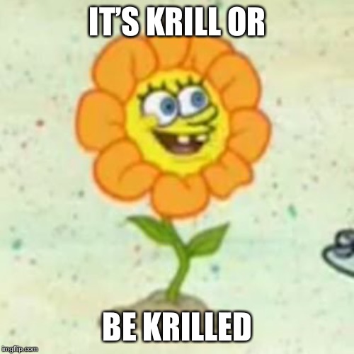 Haha, puns... | IT’S KRILL OR BE KRILLED | image tagged in flower spongebob,undertale | made w/ Imgflip meme maker