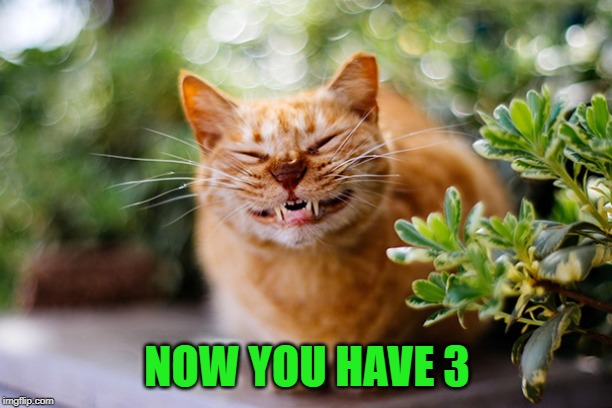 Cat smiling | NOW YOU HAVE 3 | image tagged in cat smiling | made w/ Imgflip meme maker