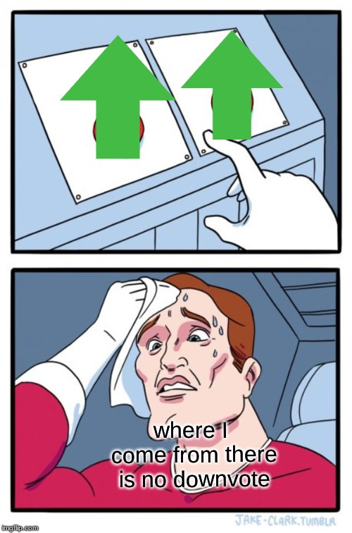 Two Buttons Meme | where I come from there is no downvote | image tagged in memes,two buttons | made w/ Imgflip meme maker