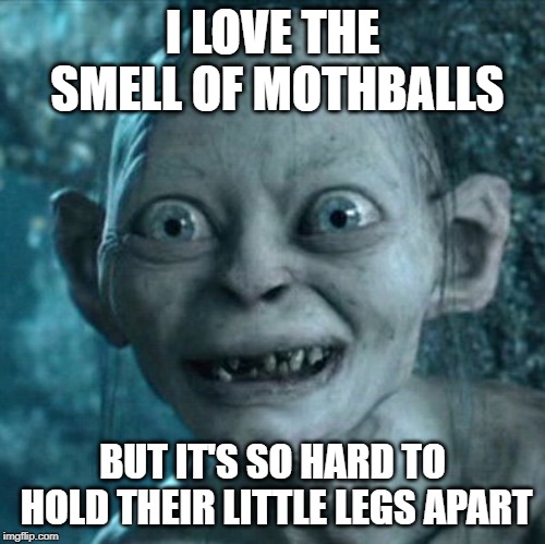 Gollum Meme | I LOVE THE SMELL OF MOTHBALLS; BUT IT'S SO HARD TO HOLD THEIR LITTLE LEGS APART | image tagged in memes,gollum | made w/ Imgflip meme maker
