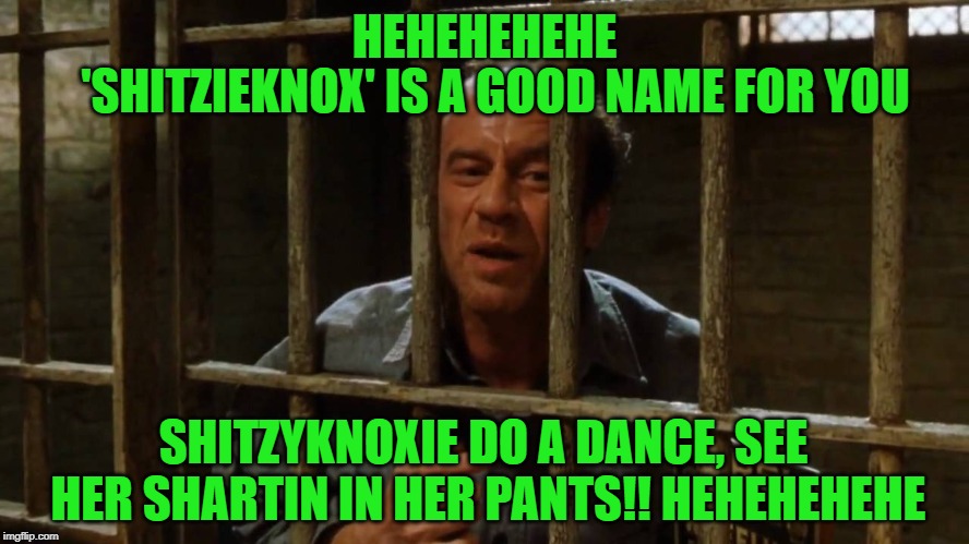 HEHEHEHEHE 'SHITZIEKNOX' IS A GOOD NAME FOR YOU SHITZYKNOXIE DO A DANCE, SEE HER SHARTIN IN HER PANTS!! HEHEHEHEHE | made w/ Imgflip meme maker