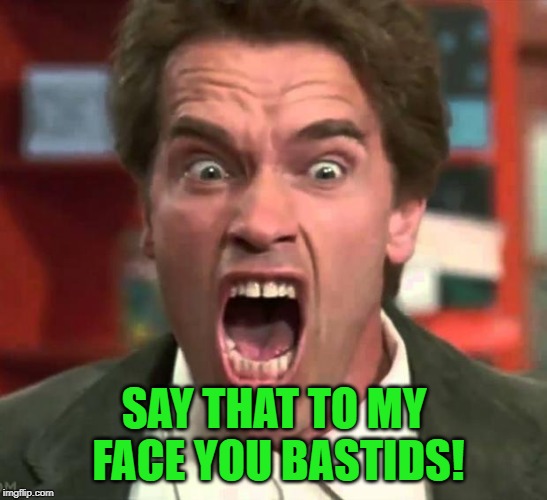 Arnold yelling | SAY THAT TO MY FACE YOU BASTIDS! | image tagged in arnold yelling | made w/ Imgflip meme maker