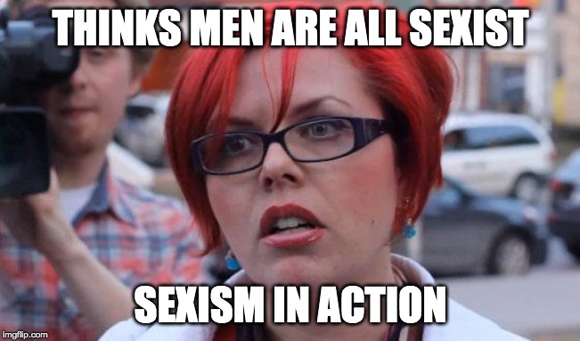 Angry Feminist | THINKS MEN ARE ALL SEXIST; SEXISM IN ACTION | image tagged in angry feminist | made w/ Imgflip meme maker