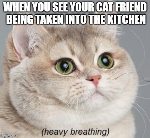 chinese restaurants be like | WHEN YOU SEE YOUR CAT FRIEND BEING TAKEN INTO THE KITCHEN | image tagged in memes,heavy breathing cat | made w/ Imgflip meme maker