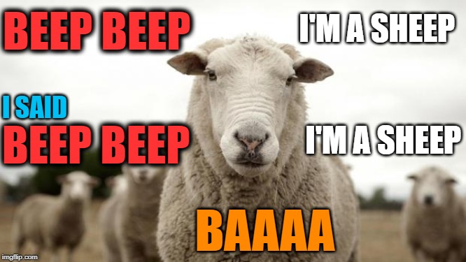Sheep |  BEEP BEEP; I'M A SHEEP; I SAID; I'M A SHEEP; BEEP BEEP; BAAAA | image tagged in sheep | made w/ Imgflip meme maker