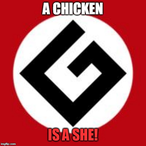 Grammar Nazi | A CHICKEN IS A SHE! | image tagged in grammar nazi | made w/ Imgflip meme maker