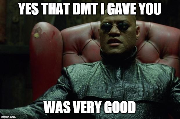 Matrix Morpheus  | YES THAT DMT I GAVE YOU; WAS VERY GOOD | image tagged in matrix morpheus | made w/ Imgflip meme maker