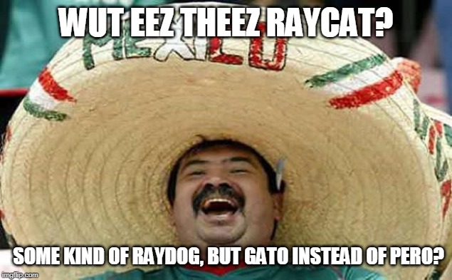 Foreigner Feel | WUT EEZ THEEZ RAYCAT? SOME KIND OF RAYDOG, BUT GATO INSTEAD OF PERO? | image tagged in foreigner feel | made w/ Imgflip meme maker