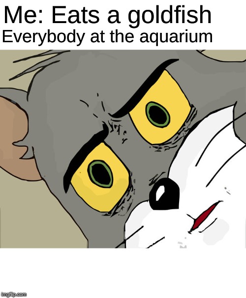 Yum... | Me: Eats a goldfish; Everybody at the aquarium | image tagged in memes,unsettled tom | made w/ Imgflip meme maker
