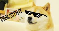 High Quality cool doge Blank Meme Template