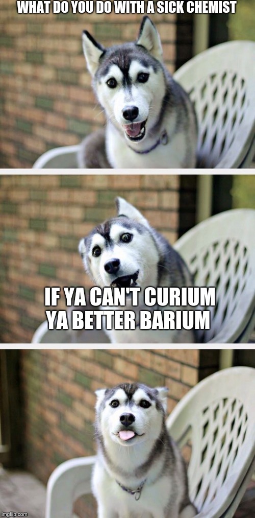 Bad Pun Dog 2 | WHAT DO YOU DO WITH A SICK CHEMIST; IF YA CAN'T CURIUM YA BETTER BARIUM | image tagged in bad pun dog 2 | made w/ Imgflip meme maker
