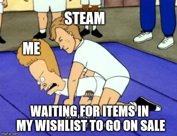 He's got a boner | STEAM; ME; WAITING FOR ITEMS IN MY WISHLIST TO GO ON SALE | image tagged in he's got a boner | made w/ Imgflip meme maker