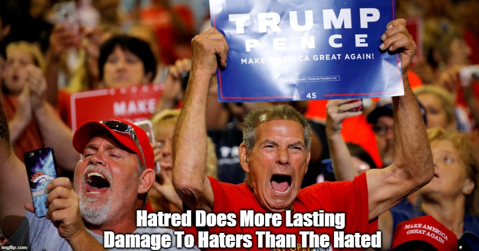 Hatred Does More Lasting Damage To Haters Than The Hated | made w/ Imgflip meme maker