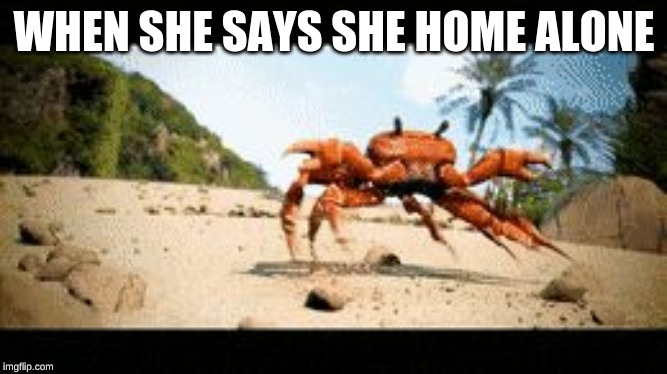 Crab rave gif | WHEN SHE SAYS SHE HOME ALONE | image tagged in crab rave gif | made w/ Imgflip meme maker