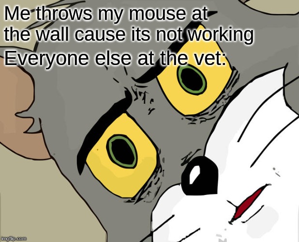 PETA don't kill me pls | Me throws my mouse at the wall cause its not working; Everyone else at the vet: | image tagged in memes,unsettled tom | made w/ Imgflip meme maker