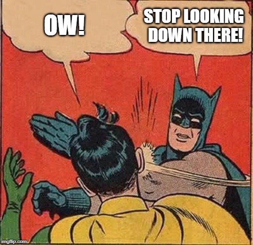 Batman Slapping Robin Meme | OW! STOP LOOKING DOWN THERE! | image tagged in memes,batman slapping robin | made w/ Imgflip meme maker