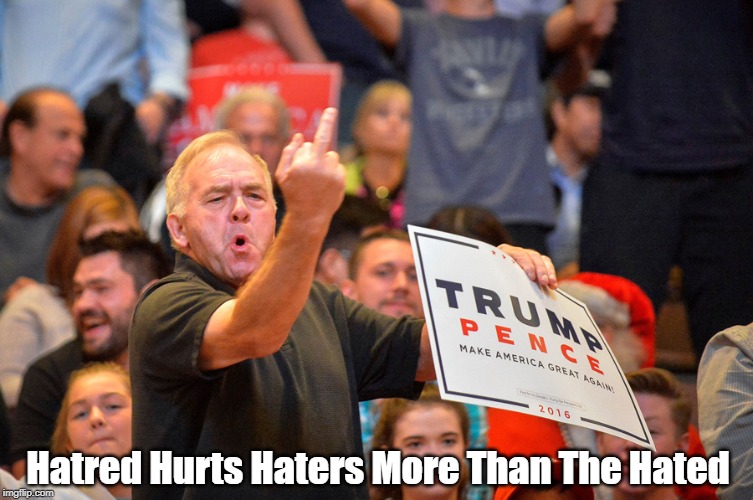 "Hatred Hurts Haters More Than The Hated" | Hatred Hurts Haters More Than The Hated | image tagged in hatred,self harming,what goes around comes around,karma,trump supporters,dunning kruger hypothesis | made w/ Imgflip meme maker