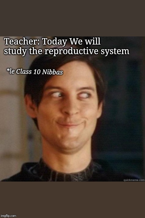 evil smile | Teacher: Today We will study the reproductive system; *le Class 10 Nibbas | image tagged in evil smile | made w/ Imgflip meme maker