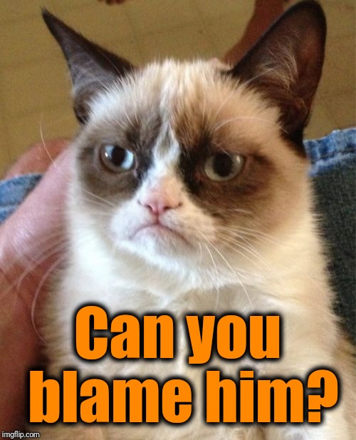 Grumpy Cat Meme | Can you blame him? | image tagged in memes,grumpy cat | made w/ Imgflip meme maker