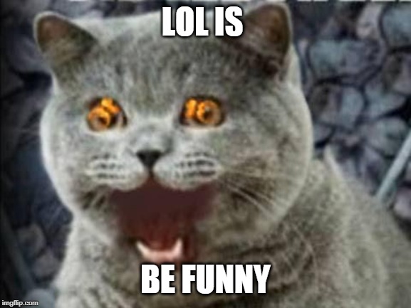 lolcat | LOL IS; BE FUNNY | image tagged in lolcat | made w/ Imgflip meme maker