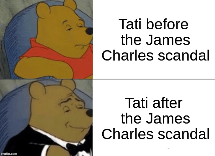 Tuxedo Winnie The Pooh Meme | Tati before the James Charles scandal; Tati after the James Charles scandal | image tagged in memes,tuxedo winnie the pooh | made w/ Imgflip meme maker