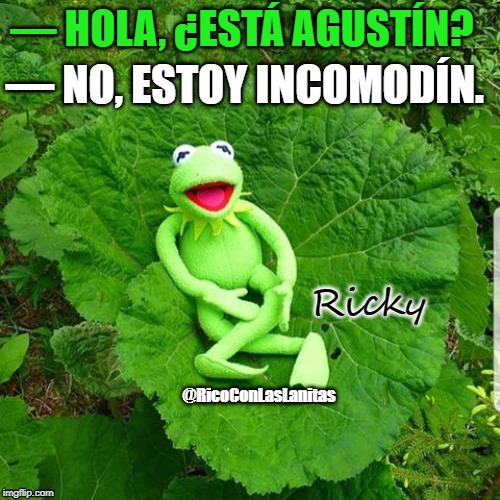 Kermit | — HOLA, ¿ESTÁ AGUSTÍN? — NO, ESTOY INCOMODÍN. Ricky | image tagged in kermit | made w/ Imgflip meme maker