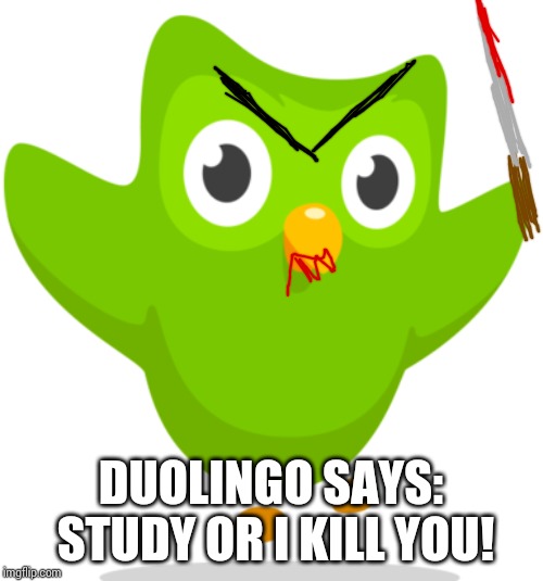 Duolingo Owl | DUOLINGO SAYS: STUDY OR I KILL YOU! | image tagged in duolingo owl | made w/ Imgflip meme maker