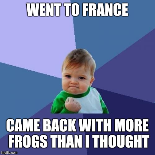 Success Kid Meme | WENT TO FRANCE; CAME BACK WITH MORE FROGS THAN I THOUGHT | image tagged in memes,success kid | made w/ Imgflip meme maker