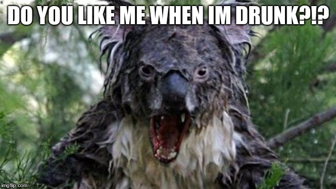Angry Koala Meme | DO YOU LIKE ME WHEN IM DRUNK?!? | image tagged in memes,angry koala | made w/ Imgflip meme maker