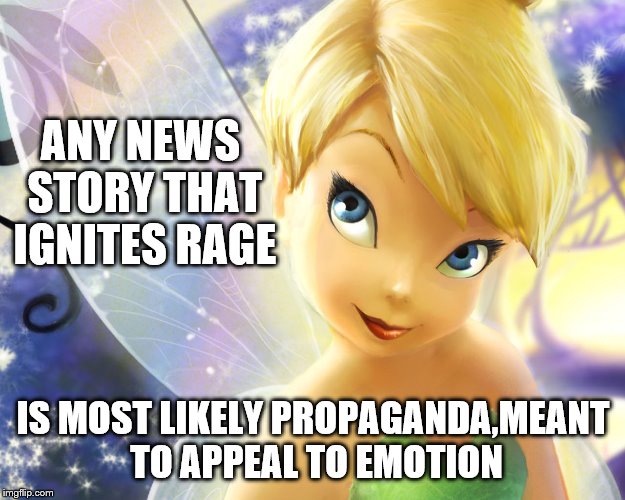 ANY NEWS STORY THAT IGNITES RAGE IS MOST LIKELY PROPAGANDA,MEANT TO APPEAL TO EMOTION | made w/ Imgflip meme maker
