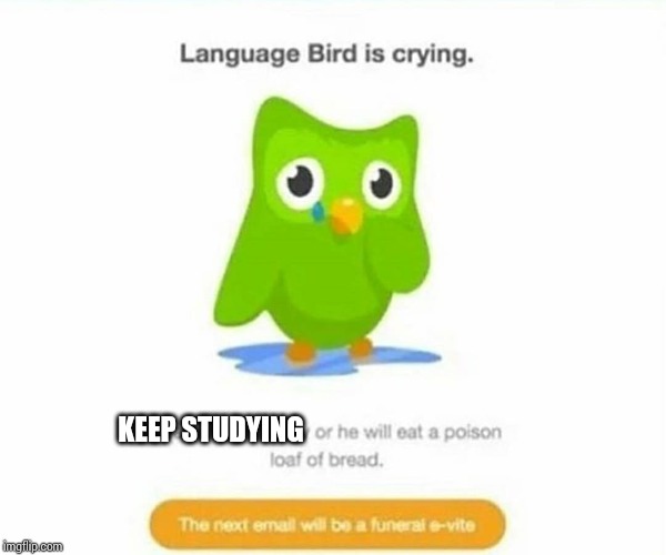 Duolingo bird | KEEP STUDYING | image tagged in duolingo bird | made w/ Imgflip meme maker